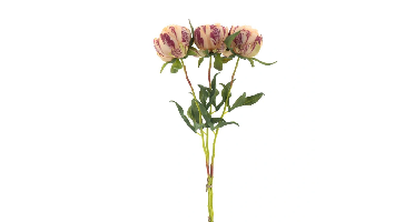 Paeony Marlie bundle a 3 pcs peach 63 cm kunstbloem Erutan Avon - Erutan avon