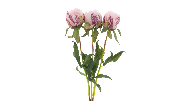 Paeony Marlie bundle a 3 pcs pink 48 cm kunstbloem Erutan Avon - Erutan avon