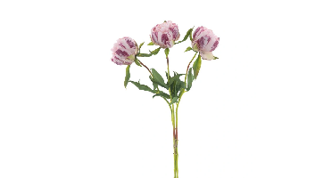 Paeony Marlie bundle a 3 pcs pink 63 cm kunstbloem Erutan Avon - Erutan avon