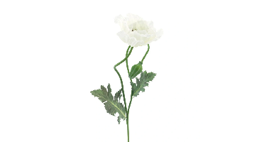 Poppy spray Casper cream 73 cm kunstbloem Erutan Avon - Erutan avon
