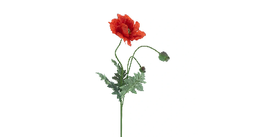 Poppy spray Casper red 93 cm kunstbloem Erutan Avon - Erutan avon