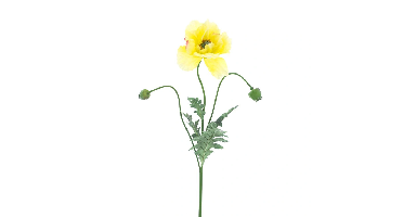 Poppy spray Casper yellow 93 cm kunstbloem Erutan Avon - Erutan avon