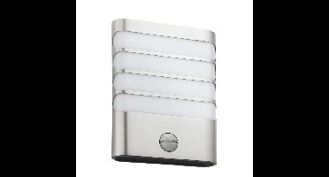 Raccoon buitenwandlamp met sensor 1-lichts RVS verlichting Philips - Philips