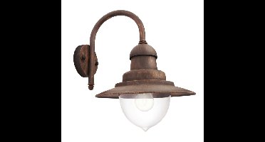 Raindrop buitenwandlamp 1-lichts brons verlichting Philips - Philips
