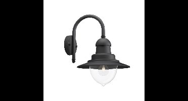 Raindrop buitenwandlamp 1-lichts zwart verlichting Philips - Philips