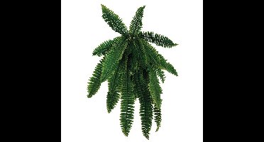 Kunstplant hangvaren fijn Buitengewoon de Boet - Buitengewoon de boet