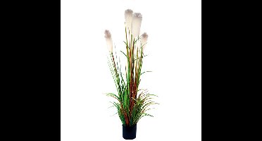 Riet gras in pot 150 cm wit-groen-bruin kunstplant Buitengewoon de Boet - Buitengewoon de boet