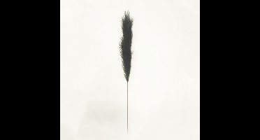 Pampas gras 130 cm Zwart kunstplant Buitengewoon de Boet - Buitengewoon de boet