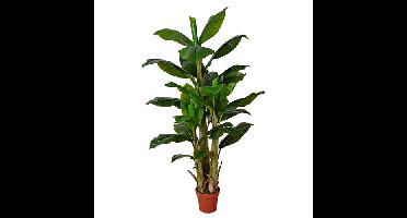 Bananenboom 170 cm kunstbloem zijde nepbloem Buitengewoon de Boet - Buitengewoon de boet