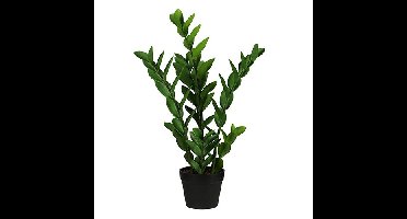 Zamioculcas 65 cm kunstbloem zijde nepbloem Buitengewoon de Boet - Buitengewoon de boet