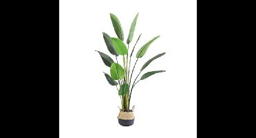 Kunstplant Blad Strelitzia Soft 160 cm Buitengewoon de Boet - Buitengewoon de boet