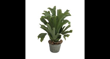 Hertshoorn in pot 43 cm kunstplant Buitengewoon de Boet - Buitengewoon de boet