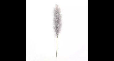 Pampas Gras 60 cm Licht grijs kunstplant Buitengewoon de Boet - Buitengewoon de boet