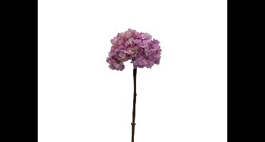 Kunstbloem hortensia 66 cm, paars Buitengewoon de Boet - Buitengewoon de boet