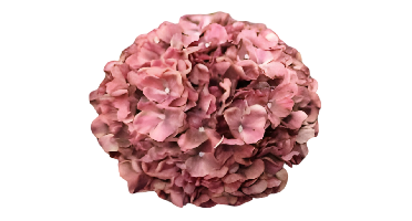 Kunst hortensia tak oudroze 92 cm Buitengewoon de Boet - Buitengewoon de boet