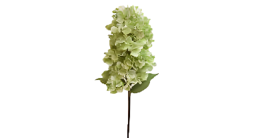 Kunst hortensia pluim lichtgroen 85 cm Buitengewoon de Boet - Buitengewoon de boet