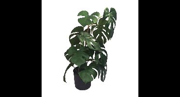 Monstera 46 cm kunstplant Buitengewoon de Boet - Buitengewoon de boet