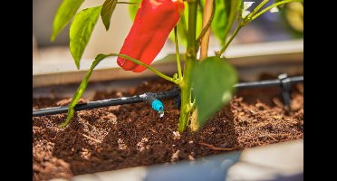 Micro-Drip-Bewatering Terras Set (30 planten) Gardena - Gardena