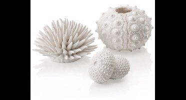 biOrb zee-egel set wit Oase - Oase