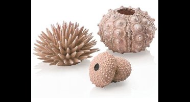 biOrb zee-egel set naturel Oase - Oase