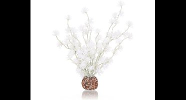 biOrb Bonsai bal wit Oase - Oase