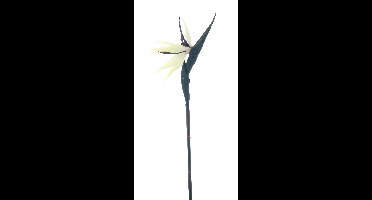 Strelitzia creme/paars 84 cm kunstbloem Buitengewoon de Boet - Buitengewoon de boet
