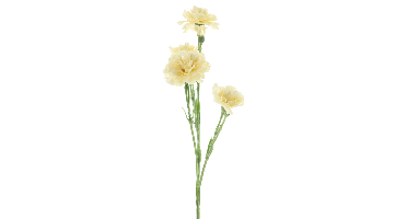 Dianthus Charly beige 62 cm kunstbloem Erutan Avon - Erutan avon
