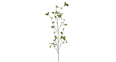 Fagus spray green 163 cm kunstbloem Erutan Avon - Erutan avon