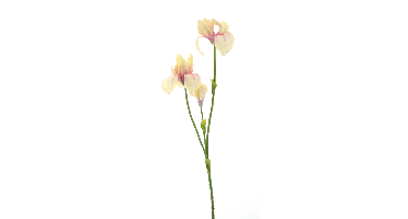 Iris spray Fletcher yellow 103 cm kunstbloem Erutan Avon - Erutan avon