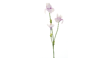 Iris spray Fletcher pink 103 cm kunstbloem Erutan Avon - Erutan avon