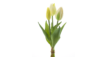 PSO Holland Tulip bundle Sally x3 cream 25 cm kunstbloem Erutan Avon - Erutan avon