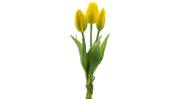 PSO Holland Tulip bundle Sally x3 yellow 25 cm kunstbloem Erutan Avon - Erutan avon