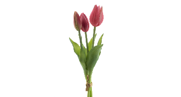 PSO Holland Tulip bundle Sally x3 beauty 25 cm kunstbloem Erutan Avon - Erutan avon