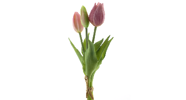 PSO Holland Tulip bundle Sally x3 pink 25 cm kunstbloem Erutan Avon - Erutan avon