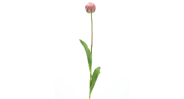 PSO Tulip spray Paris Sally pink 79 cm kunstbloem Erutan Avon - Erutan avon