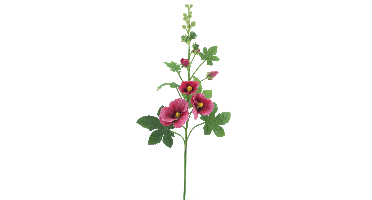 Alcea spray old pink 102 cm kunstbloem Erutan Avon - Erutan avon
