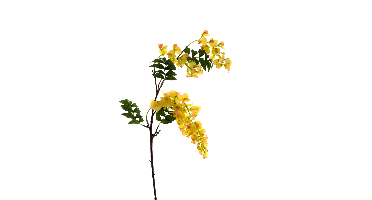 Sweet pea spray Mick yellow 92 cm kunstbloem Erutan Avon - Erutan avon