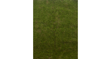 Moss mat green 100x100 cm kunstbloem Erutan Avon - Erutan avon