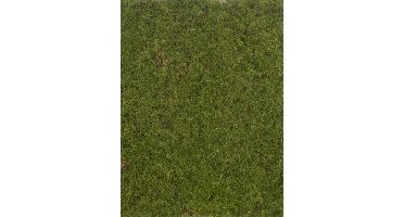 Moss mat green 50x50 cm kunstbloem Erutan Avon - Erutan avon