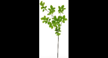 Spring leaf spray green 128 cm kunstbloemen Erutan Avon - Erutan avon