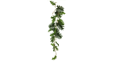 Philo seloum garland green 105cm Erutan Avon - Erutan avon