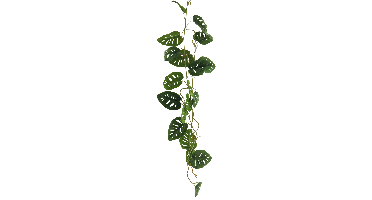 Philo split leaf garland green 120cm Erutan Avon - Erutan avon