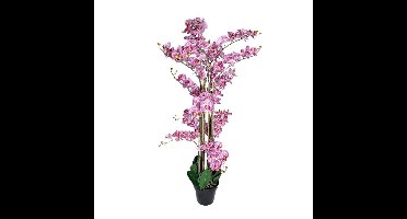 Phalaenopsis Orchidee in pot 140 cm Tiger Cerise kunstplant Buitengewoon de Boet - Buitengewoon de boet