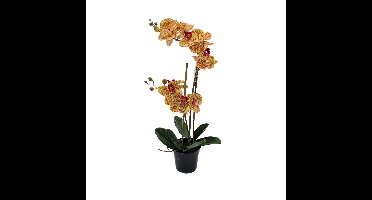 Phalaenopsis Orchidee in pot x2 50 cm Tiger Yellow kunstplant Buitengewoon de Boet - Buitengewoon de boet