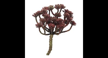 Cacta rood 19 cm kunstplant Erutan Avon - Erutan avon