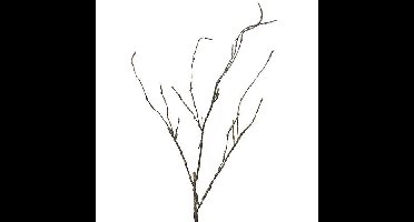 Wood Twig Cordata 95 cm kunsttak Erutan Avon - Erutan avon