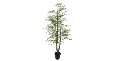 Maidenhair fern Cuba in pot green 180 cm kunstbloem Erutan Avon - Erutan avon