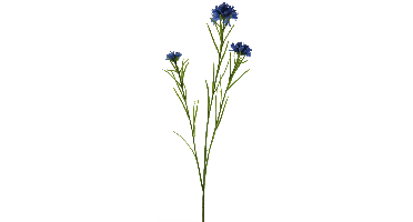 Cornflower spray blue 68cm Erutan Avon - Erutan avon