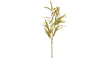 Needle eucalyptus spray brown 91 cm kunstbloem Erutan Avon - Erutan avon