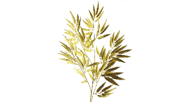 Bamboo spray gold 98cm Erutan Avon - Erutan avon